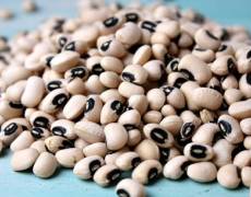 Những loại đậu giàu 98win link bạn nên ăn mỗi ngày