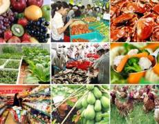 98win vin chỉ đạo tăng cường quản lý bảo đảm an toàn 98win link